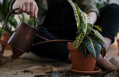 如何提高企業(yè)發(fā)展能力