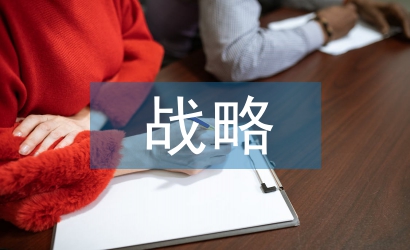 公共管理戰(zhàn)略