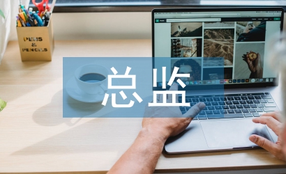 總監(jiān)試用期工作總結(jié)