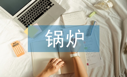 鍋爐調(diào)查報(bào)告