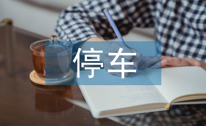 停車調(diào)查報告