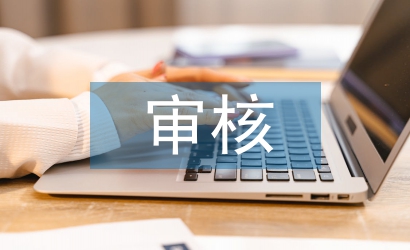 審核崗位實習(xí)個人總結(jié)