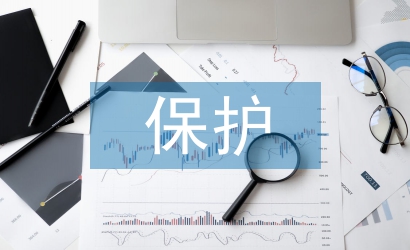 傳統(tǒng)文化保護論文