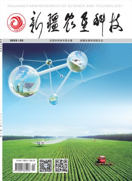 新疆農(nóng)墾科技雜志