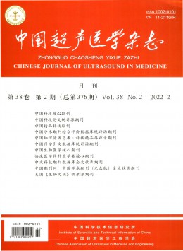 中國(guó)超聲醫(yī)學(xué)雜志
