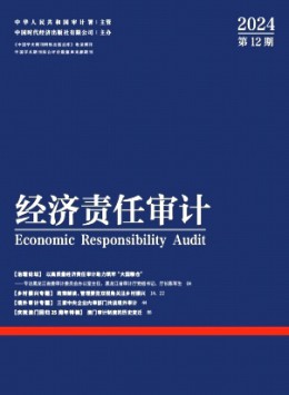 經(jīng)濟(jì)責(zé)任審計